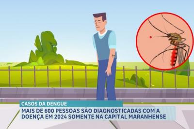 Mais de 650 pessoas são diagnosticadas com dengue em 2024 na capital maranhense
