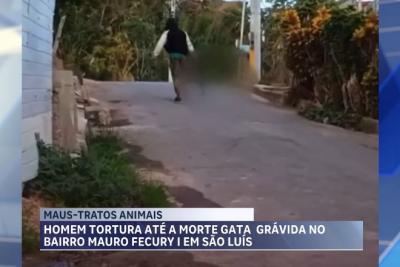 Policia Civil investiga casos de Maus tratos animais em São Luís