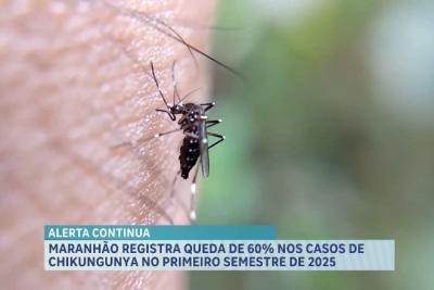 Maranhão registra queda de 60% nos casos de chikungunya no primeiro semestre de 2025