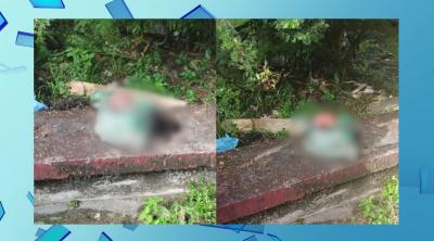 Recém-nascido é encontrado morto dentro de saco em Vitória do Mearim, no MA