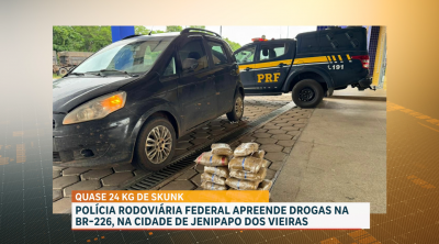 PRF-MA apreende mais de 23 kg de skunk escondidos em veículo na BR-226