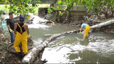 Ecobarreira é instalada nas margens do Rio Anil para reduzir impactos ambientais