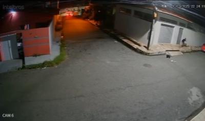 Maus-tratos: homem é flagrado jogando pedras em cachorros