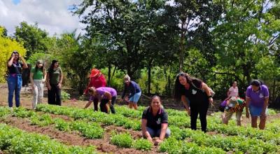 Governo lança plano que visa o aumento da produtividade agrícola no Estado