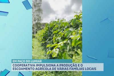 Agro Record: cooperativismo e sustentabilidade impulsionam a produção rural