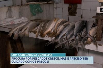 Quaresma aumenta a procura por pescados, mas preços elevados preocupam