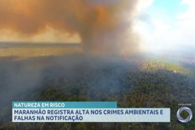 Maranhão lidera aumento de crimes ambientais no país, aponta relatório