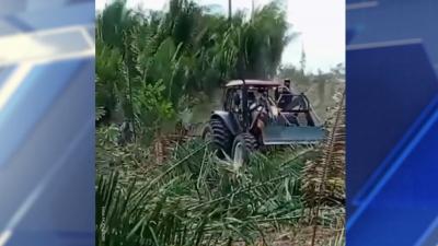 Casos recorrentes de conflitos territoriais preocupam especialistas