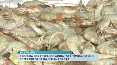 Procura por pescados ainda é baixa em São Luís, mesmo com a proximidade da Semana Santa