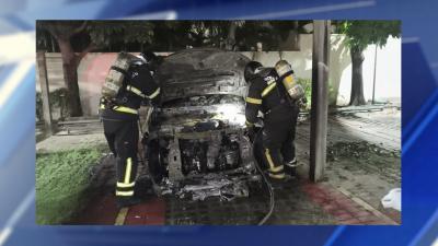 Dois casos foram registrados nos últimos dias; apesar dos sustos, ninguém se feriu