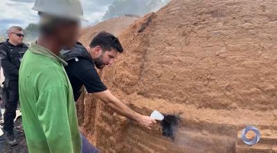 Maranhão registra quase 100 casos de trabalho análogo à escravidão em 2025