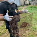 Foto: Polícia Civil