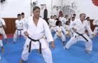 Karatê: maranhenses vão participar de campeonato nacional na Bahia