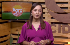 Agro Record: safrinha solidária beneficia 300 famílias em Tasso Fragoso