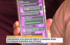 Golpe virtual: criminosos usam a internet para enganar vítimas e obter vantagens ilícitas