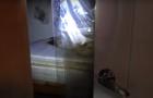 Quarto estava lacrado com plástico e a entrada acumulava pilhas de besouros mortos 