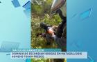 Presos suspeitos de tráfico de drogas no Mangue Seco, na Raposa