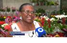 Dia da Mulher aquece vendas em floriculturas na véspera da data