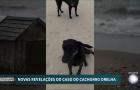 Mãe de suspeito de matar o cão Orelha fala pela primeira vez sobre o caso; veja