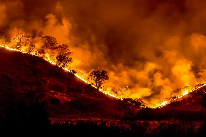 O fogo na floresta amazônica aumenta a pressão sobre o clima e o meio ambiente global