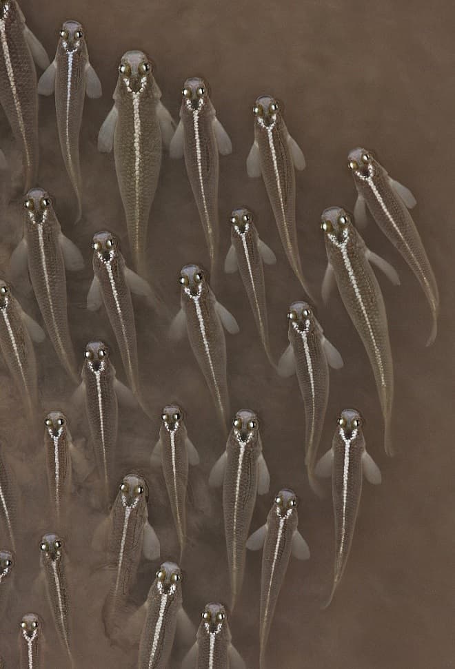 Imagem de São Luís é premiada em Concurso de Fotografia