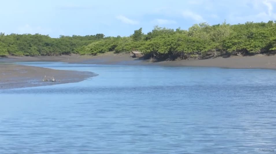 Pescadores continuam desaparecidos desde junho na Raposa