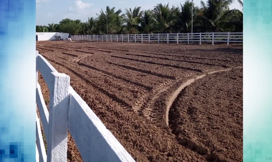 Vaquejadas são realizadas no MA mesmo com proibição
