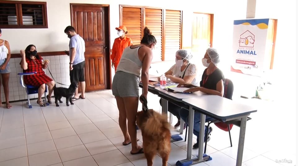 Bairro da Cidade Olímpica recebe ação do Mais Saúde Animal