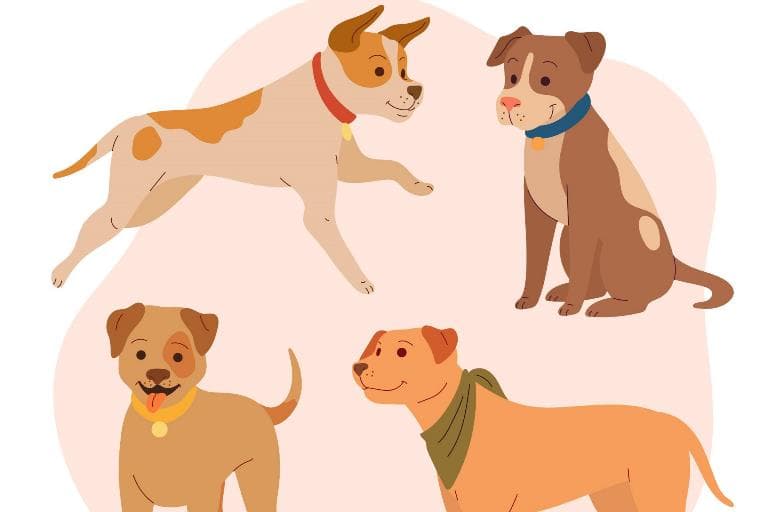 Dicas para nossos filhos de 4 patas sobreviverem às altas temperaturas