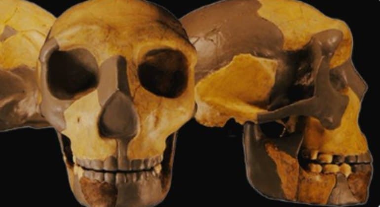 Crânio de 300 mil anos encontrado na China não se parece com nenhum outro humano
