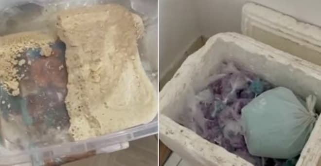 Polícia encontra ‘casa bomba’ e prende quadrilha especializada em tráfico de drogas