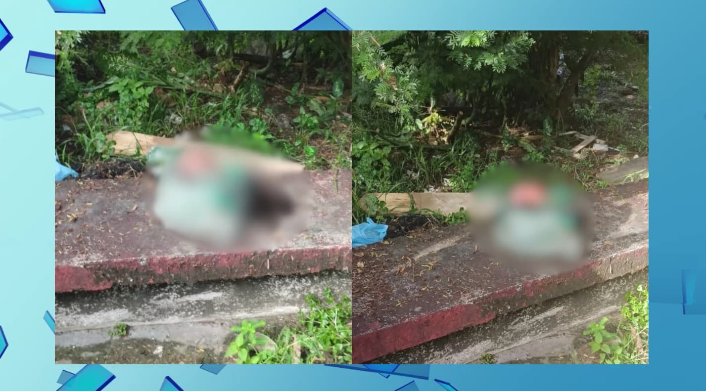 Recém-nascido é encontrado morto dentro de saco em Vitória do Mearim, no MA