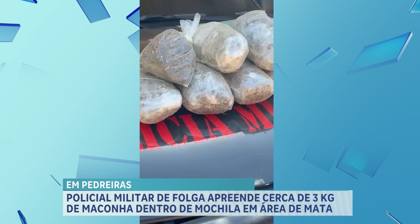 PM apreende cerca de 3 kg de maconha escondida em área de mata em Pedreiras