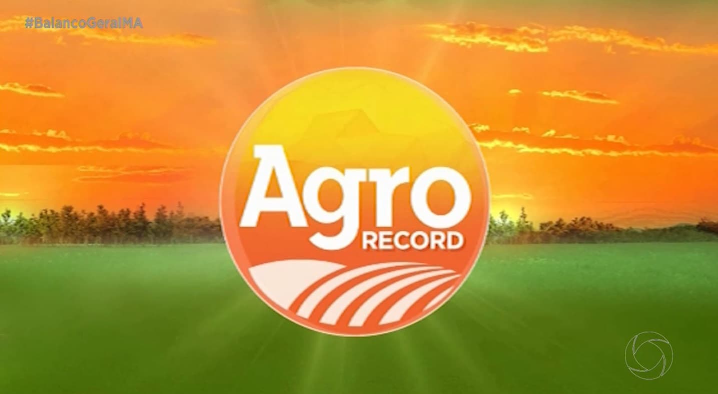 Agro Record: programa aborda cultivo durante chuvas e inauguração da ponte Juscelino Kubitschek