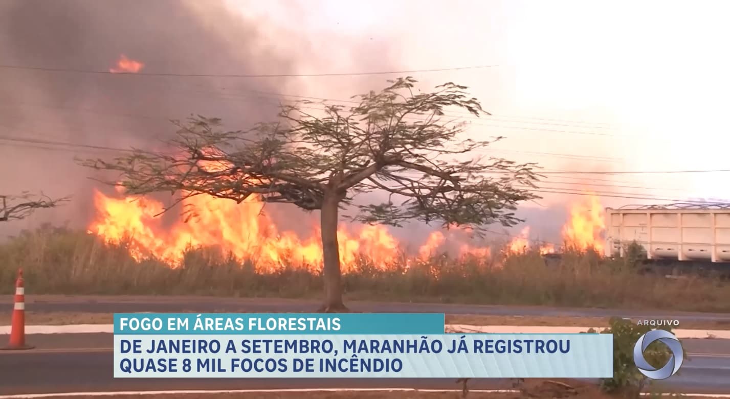 MA registrou mais de 7.600 focos de incêndio de janeiro a setembro deste ano