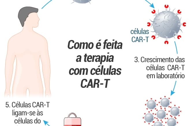 Cura do câncer: as terapias que renovam a esperança