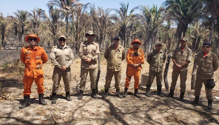 o Corpo de Bombeiros Militar do Maranhão colocou em prática a operação Maranhão sem Queimadas.