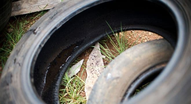 Morte por dengue aumenta 5 vezes em relação ao ano passado