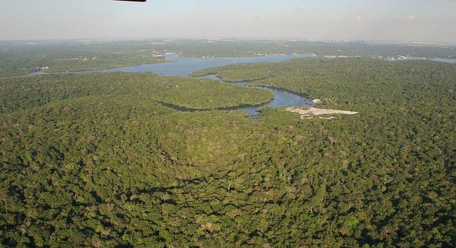 Amazônia perde 32 mi de campos de futebol de vegetação