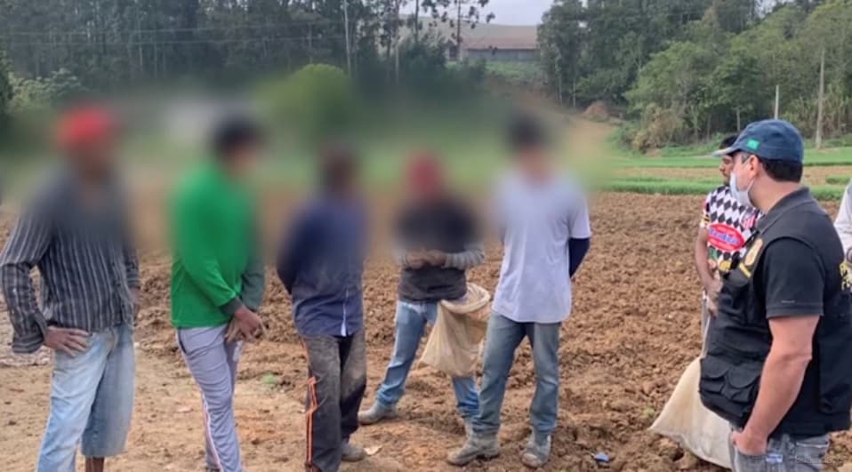 Maranhenses são resgatados em SC em situação análoga à escravidão