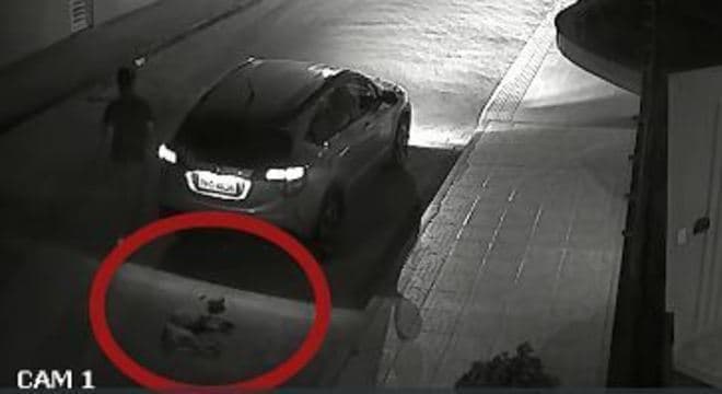 Homem que arrastou cachorro em carro no ES: "Decidi sacrificar"
