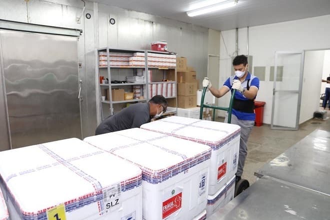 Covid-19: MA recebe novo lote com mais de 229 mil vacinas