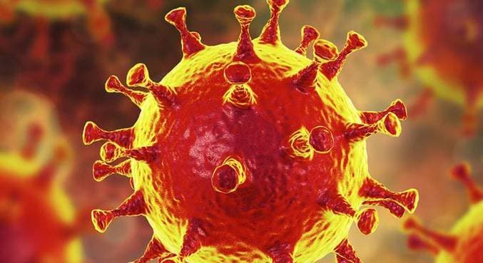 Cientistas comprovam coinfecção de covid por variantes diferentes