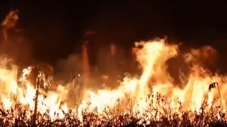 Maranhão registrou mais de mil focos de incêndio em 2021