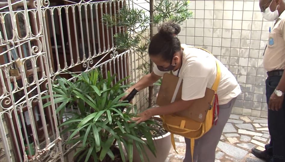 São Luís intensifica combate ao mosquito Aedes aegypti