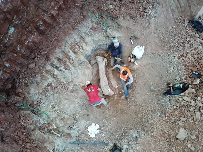 Fóssil de dinossauro gigante é encontrado no Maranhão
