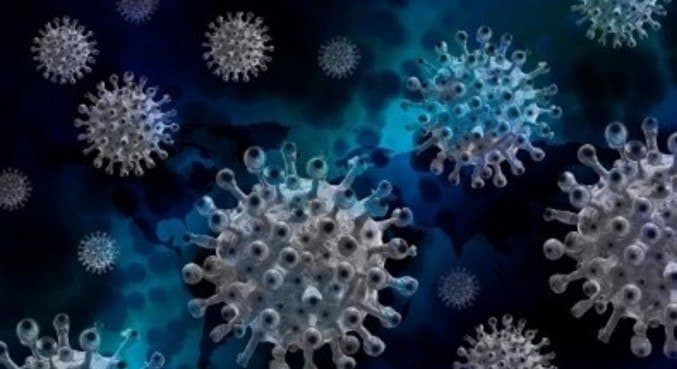 Infecção por coronavírus gera imunidade de ao menos 5 meses