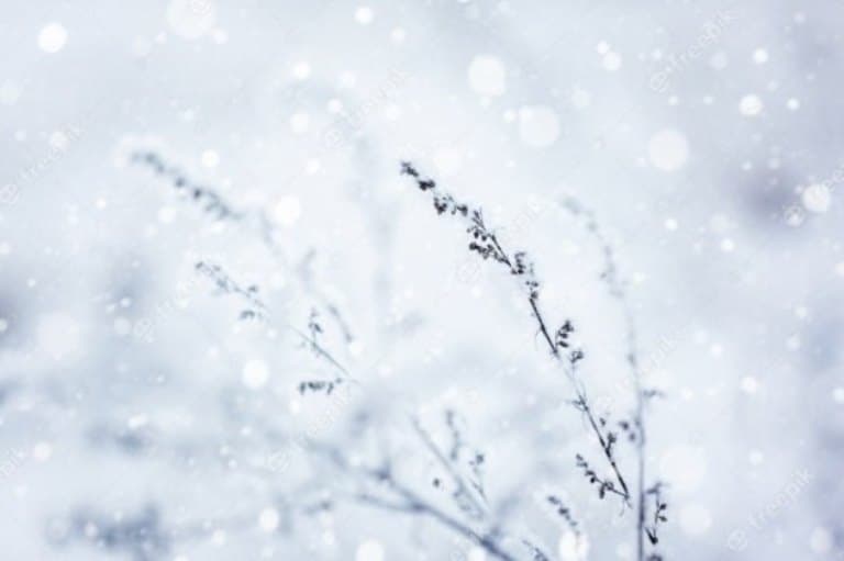 Entenda as diferenças entre neve, chuva congelada, sincelo e geada