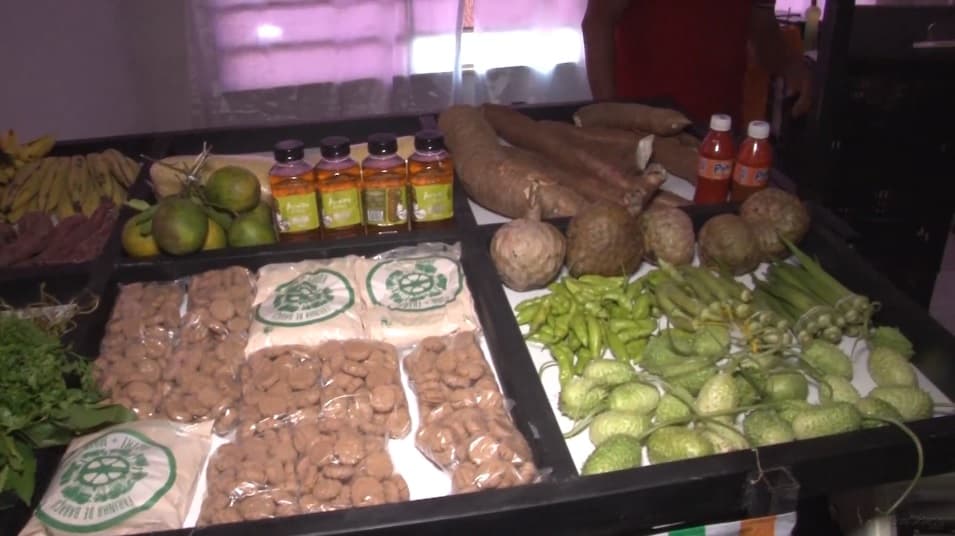 Produtores rurais recebem kits para ajudar nas feiras no MA