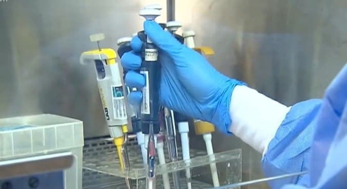 Estudo confirma segurança da terapia com plasma da covid-19